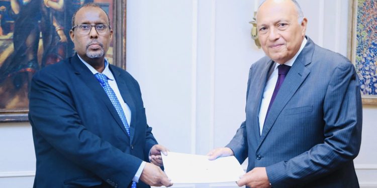 سفير الصومال الجديد يقدم نسخة من اوراق اعتماده لوزير الخارجية المصري