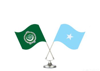 وزير الخارجية الصومالي يبحث مع أمين عام جامعة الدول العربية التحديات الإقليمية