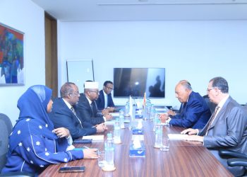 مباحثات صومالية مصرية فى مجالات التدريب والطيران الصحة والتعليم والثقافة