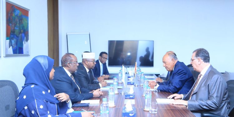 مباحثات صومالية مصرية فى مجالات التدريب والطيران الصحة والتعليم والثقافة