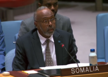 الممثل الدائم للصومال لدى الأمم المتحدة يستعرض التقدم المحرز في مجال الحكم والأمن