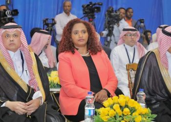 اهتمام سعودي بالاستثمار في قطاع الفنادق والخدمات السياحية في إثيوبيا