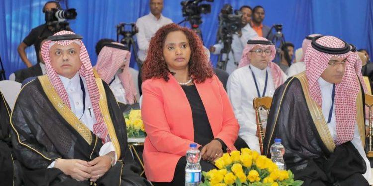اهتمام سعودي بالاستثمار في قطاع الفنادق والخدمات السياحية في إثيوبيا