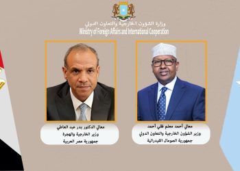 وزير خارجية الصومال يهنئ نظيره المصري الجديد