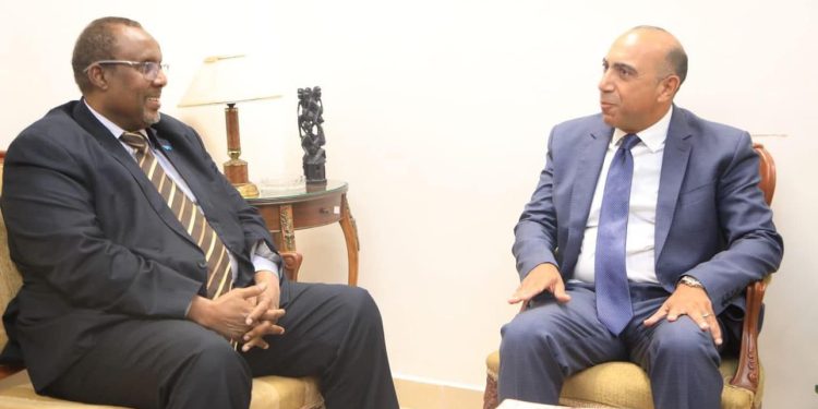سفير الصومال يبحث مع مساعد وزير الخارجية المصري سبل تعزيز التعاون المشترك