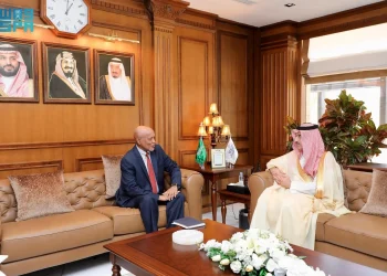 الرئيس التنفيذي للصندوق السعودي للتنمية يستقبل سفير الصومال لدى المملكة