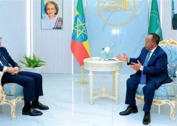 بشأن السودان والصومال.. سفير مصر بأديس أبابا يلتقي وزير الخارجية الإثيوبي