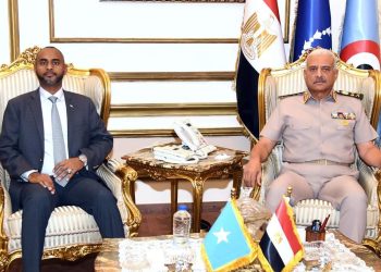 وزير الدفاع الصومالي يلتقي نظيره المصري بالقاهرة