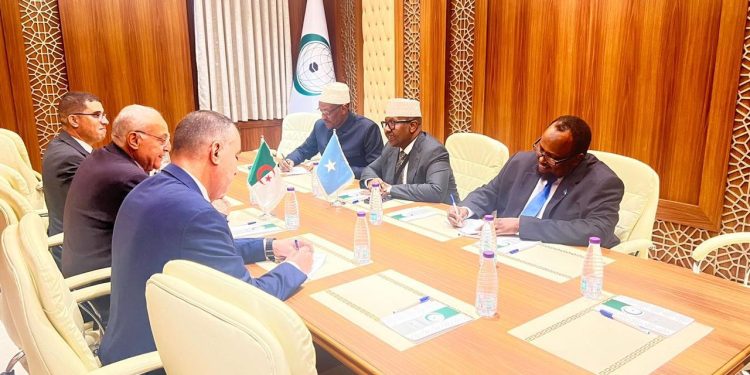وزير الخارجية الصومالي يبحث العلاقات الثنائية مع نظيره الجزائري في جدة