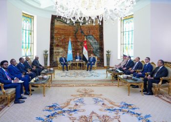 الرئيس الصومالي ونظيره المصري يشهدان مراسم التوقيع على بروتوكول التعاون العسكري بين البلدين