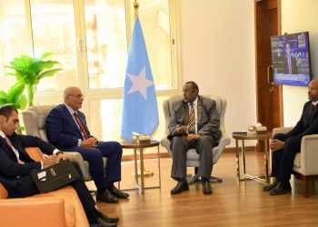سفير الصومال بالقاهرة يستقبل مندوب مصر الدائم بالجامعة العربية