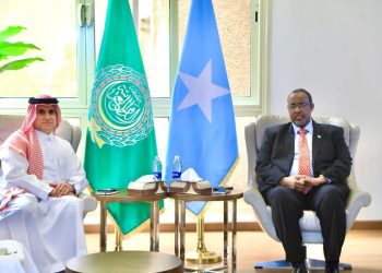 سفير الصومال بالقاهرة يستقبل مندوب السعودية الدائم لدى جامعة الدول العربية