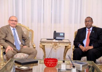 سفير الصومال يبحث مع نظيره التركي سبل تعزيز الأمن و السلم الإقليميين
