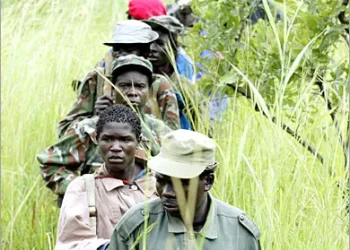 أوغندا تعلن تدمير مقار لجيش الرب بأفريقيا الوسطى