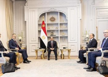 الرئيس المصري يستقبل وزير الخارجية التركي في العلمين