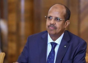 جيبوتي تستبعد نجاح تركيا في حل أزمة «المنفذ الإثيوبي» بالبحر الأحمر