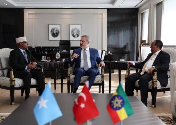 ما دوافع تركيا لإنهاء نزاع ساحل «أرض الصومال» بين الصومال وإثيوبيا؟