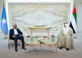 الصومال والإمارات تبحثان تعزيز التعاون