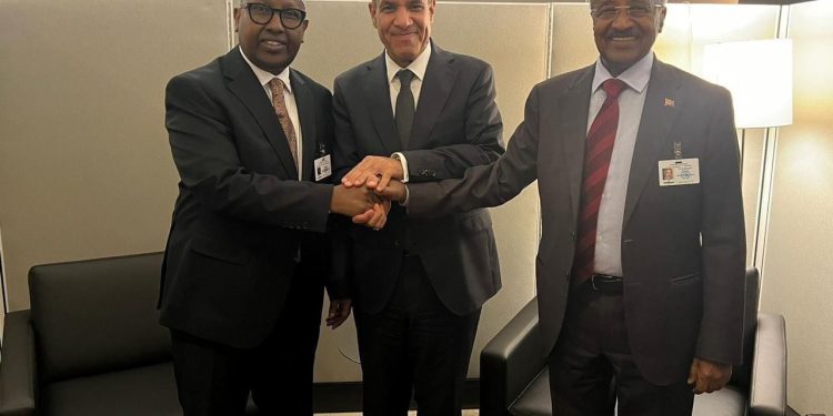 قمة ثلاثية تجمع وزراء خارجية الصومال ومصر  وإريتريا في نيويورك