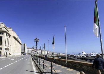 الجزائر تعلن انضمامها رسميا لبنك مجموعة بريكس الاقتصادية