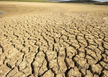 118 مليون إفريقي معرضون للجفاف والفيضانات بسبب تغير المناخ