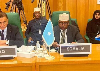 وزير الخارجية الصومالي  : لن نتورط في مسار تفاوضي عقيم مع إثيوبيا