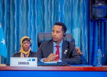 الصومال يشارك في الاجتماع التاسع عشر للجنة السلام والأمن التابعة للسوق المشترك لشرق وجنوب أفريقيا
