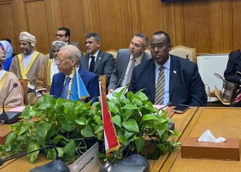 الصومال يشارك في اجتماع المكتب التنفيذي لوزراء الشؤون الاجتماعية العرب بالقاهرة