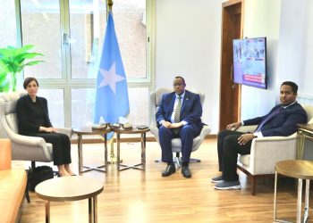 سفير الصومال بالقاهرة يبحث مع نظيرته القبرصية تطورات الأوضاع في منطقة القرن الإفريقي