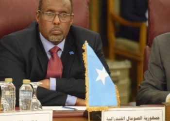 الصومال يشارك في أعمال الدورة غير العادية لمجلس جامعة الدول العربية بشأن العدوان على غزة