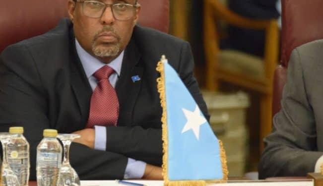 الصومال يشارك في أعمال الدورة غير العادية لمجلس جامعة الدول العربية بشأن العدوان على غزة