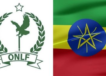 الجبهة الوطنية لتحرير أوغادين تعلق مشاركتها في الحوار الوطني الإثيوبي
