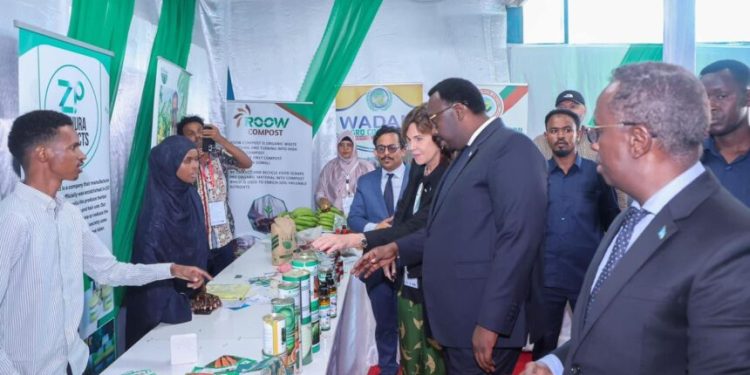 نائب رئيس الوزراء يختتم أعمال المؤتمر الأول للاستثمار الزراعي في البلاد