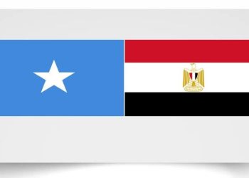 وفد مصري رفيع يستعد لزيارة البلاد لتعزيز الاستثمارات الاقتصادية