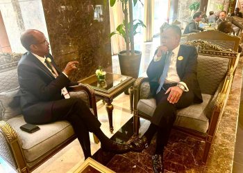 وزير الخارجية والهجرة المصري يبحث مع نظيره الجيبوتي تعزيز التعاون الثنائي