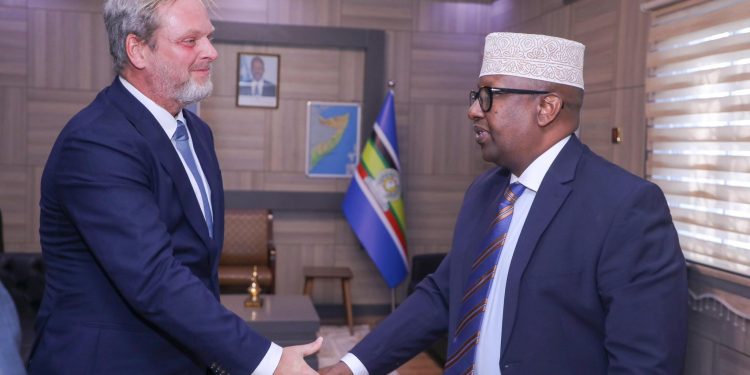  الدنمارك تؤكد على وحدة وسلامة الأراضي الصومالية