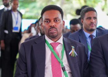 سفير الصومال لدى تنزانيا: نرحب بجهود قادة المنطقة للحفاظ على الاستقرار بشرط احترام سيادتنا