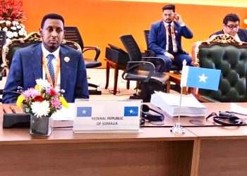 الصومال تشارك في أعمال الدورة السابعة للتحالف الدولي للطاقة الشمسية