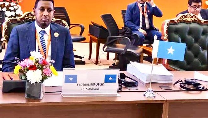 الصومال تشارك في أعمال الدورة السابعة للتحالف الدولي للطاقة الشمسية