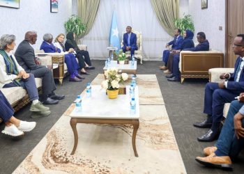 الصومال ومنظمة الصحة العالمية يناقشان تعزيز مرونة النظام الصحي في البلاد