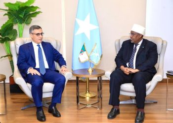 سفير الصومال يبحث مع نظيره الجزائري سبل ودعم التواجد العربي والأفريقي في مجلس الأمن الدولي