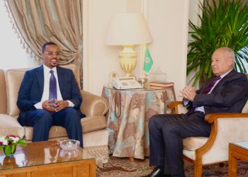وزير الدولة للعدل الصومالي يلتقي الامين العام لجامعة الدول العربية