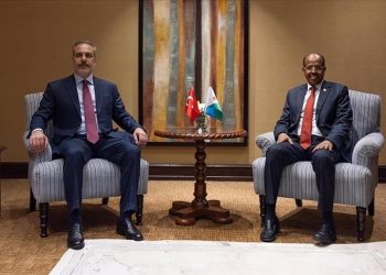 وزير الخارجية التركي يلتقي نظيره الجيبوتي