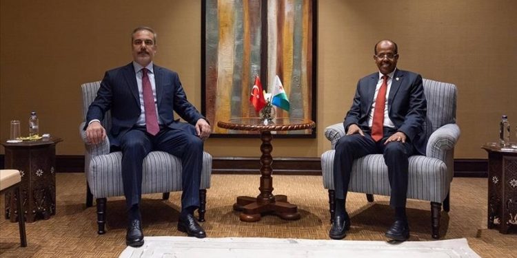 وزير الخارجية التركي يلتقي نظيره الجيبوتي