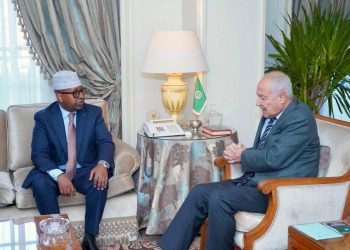 وزير الخارجية يبحث مع أبو الغيط دعم التعاون والاستقرار في القرن الإفريقي