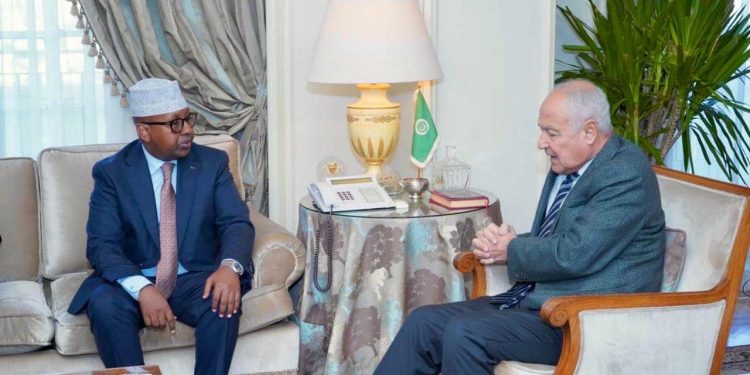 وزير الخارجية يبحث مع أبو الغيط دعم التعاون والاستقرار في القرن الإفريقي