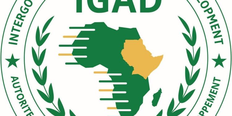 إيغاد ترحب باتفاق أنقرة بين إثيوبيا والصومال