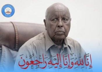 وفاة السيناتور محمد علي يوسف في تركيا