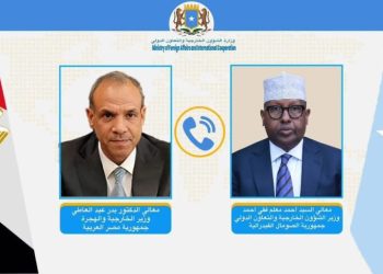 وزير الخارجية يبحث في إتصال هاتفي مع نظيره المصري