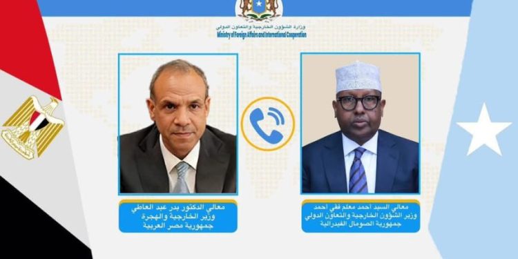 وزير الخارجية يبحث في إتصال هاتفي مع نظيره المصري